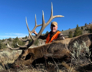 Sns Wyoming Wilderness Elk 2025 6